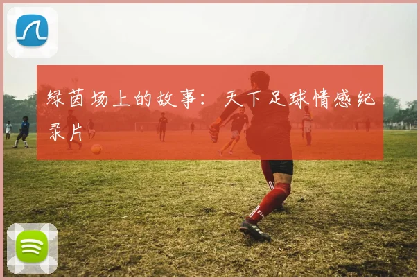 绿茵场上的故事：天下足球情感纪录片