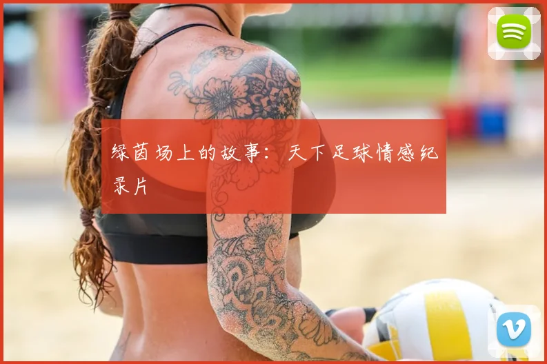 绿茵场上的故事：天下足球情感纪录片