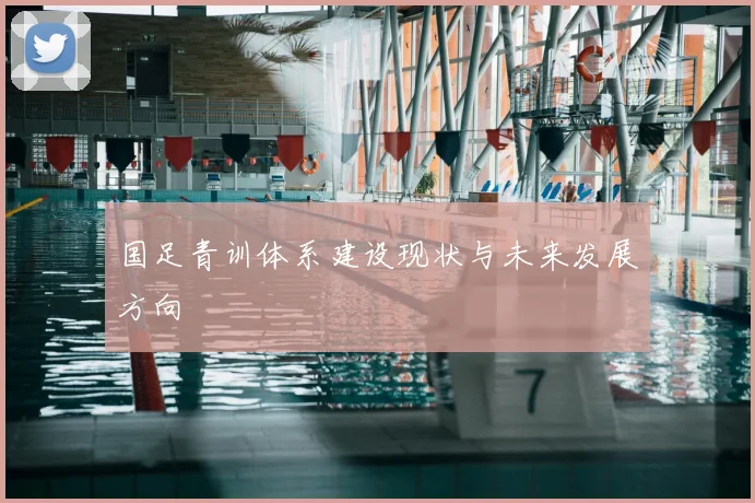 国足青训体系建设现状与未来发展方向